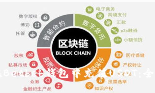 如何在Betbeb钱包中充值USDT:全面指南